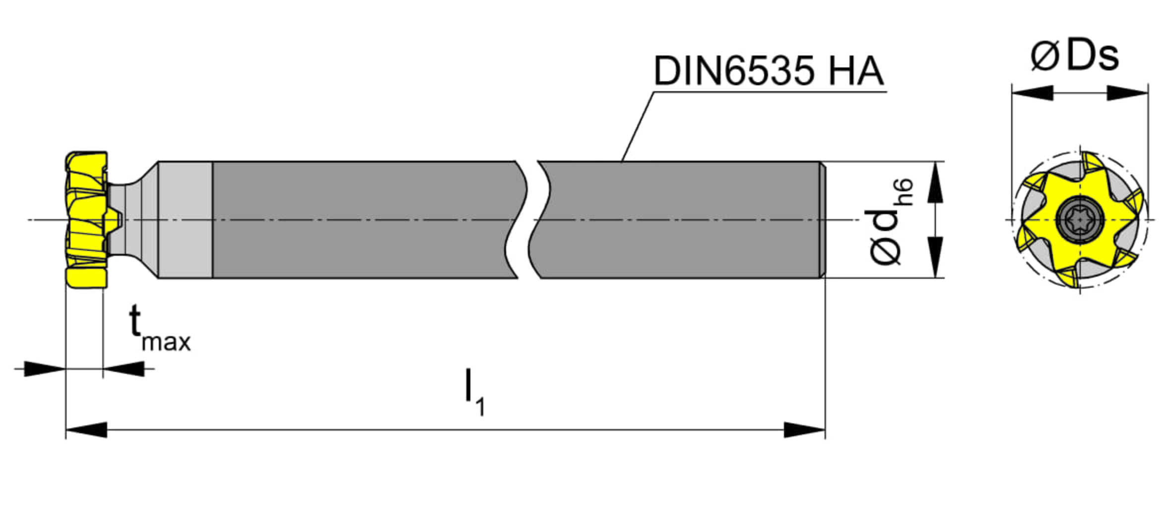 M306_STIRN.JPG