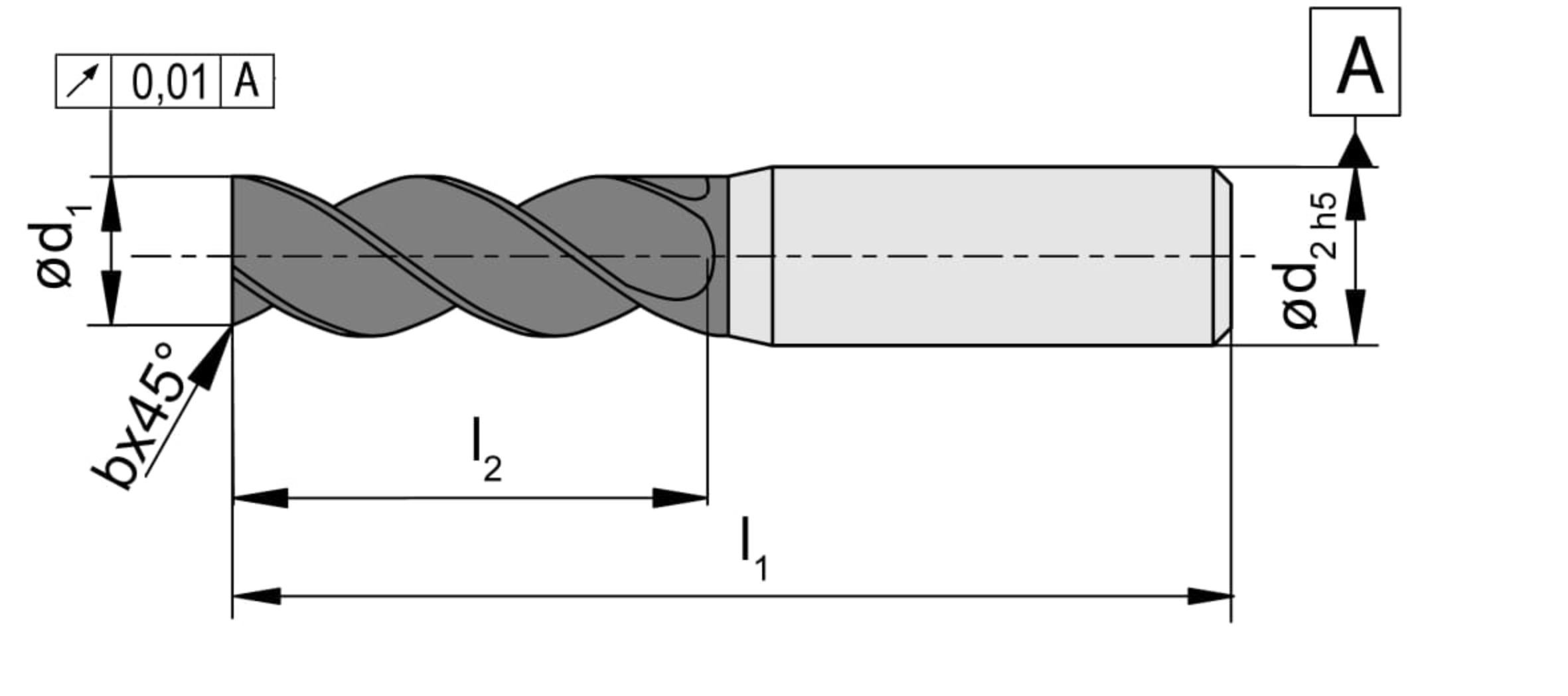 DPSG4.JPG