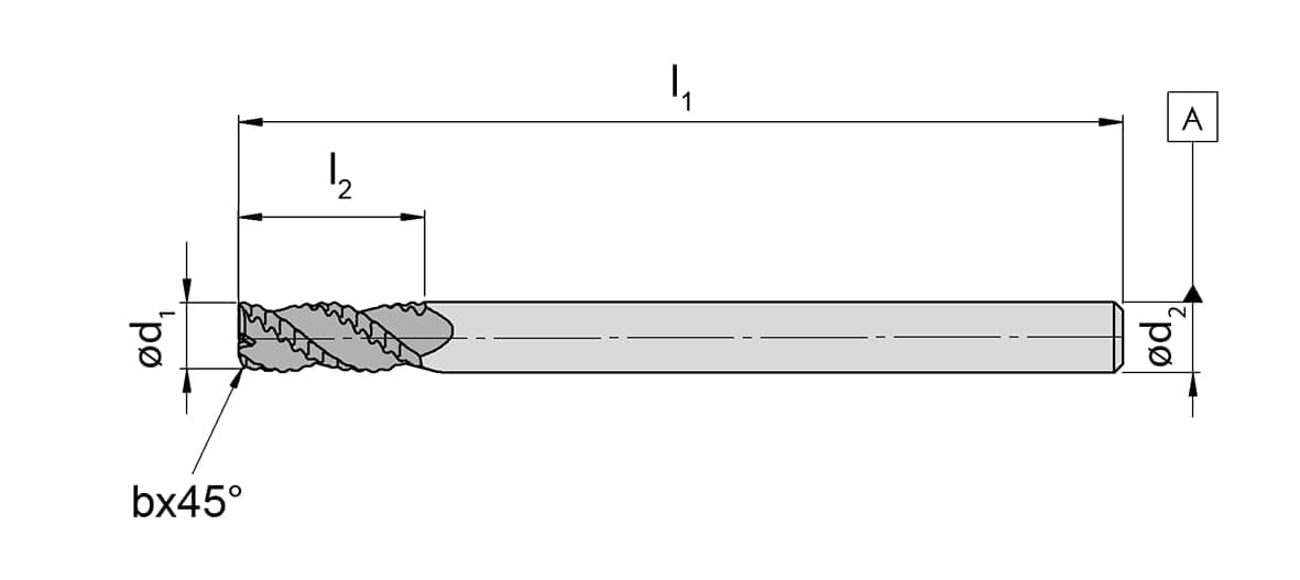 DSRF01.JPG